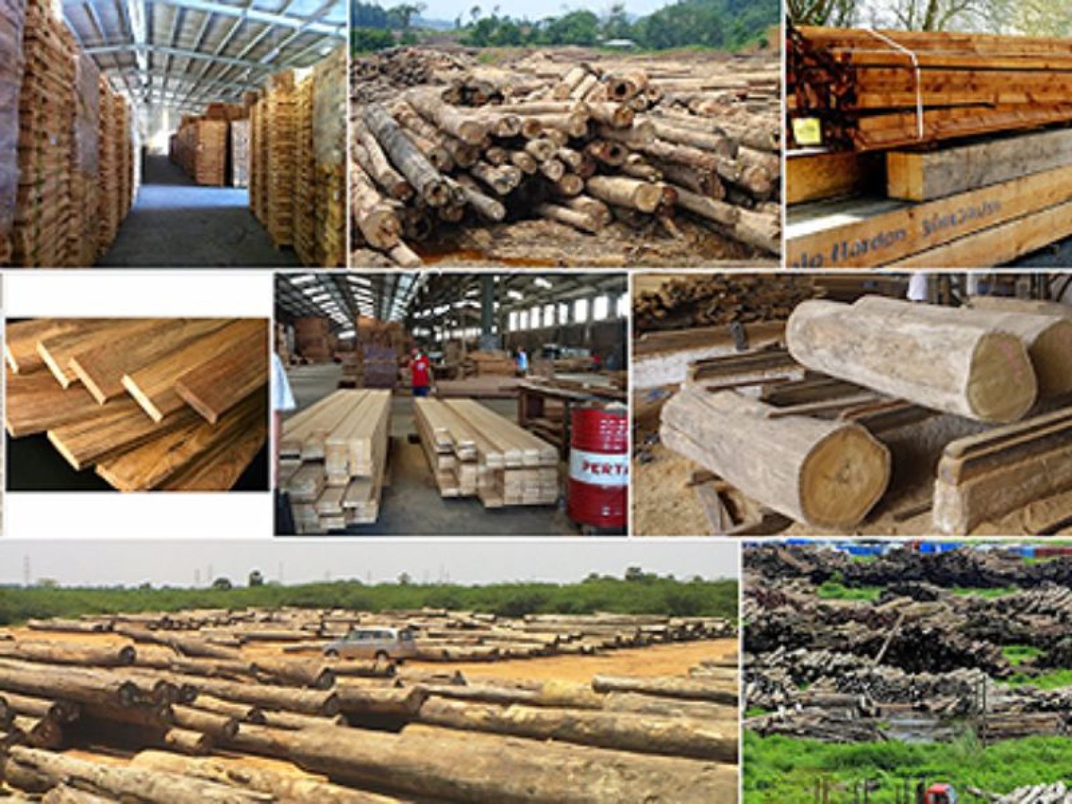 Thủ tục nhập khẩu gỗ từ châu phi