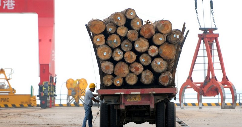 Thông tin về thủ tục nhập khẩu gỗ từ Lào từ A- Z